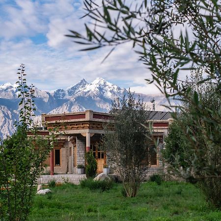 Hotel Lchang Nang Retreat-The House Of Trees-Nubra Valley Sumur Exterior foto