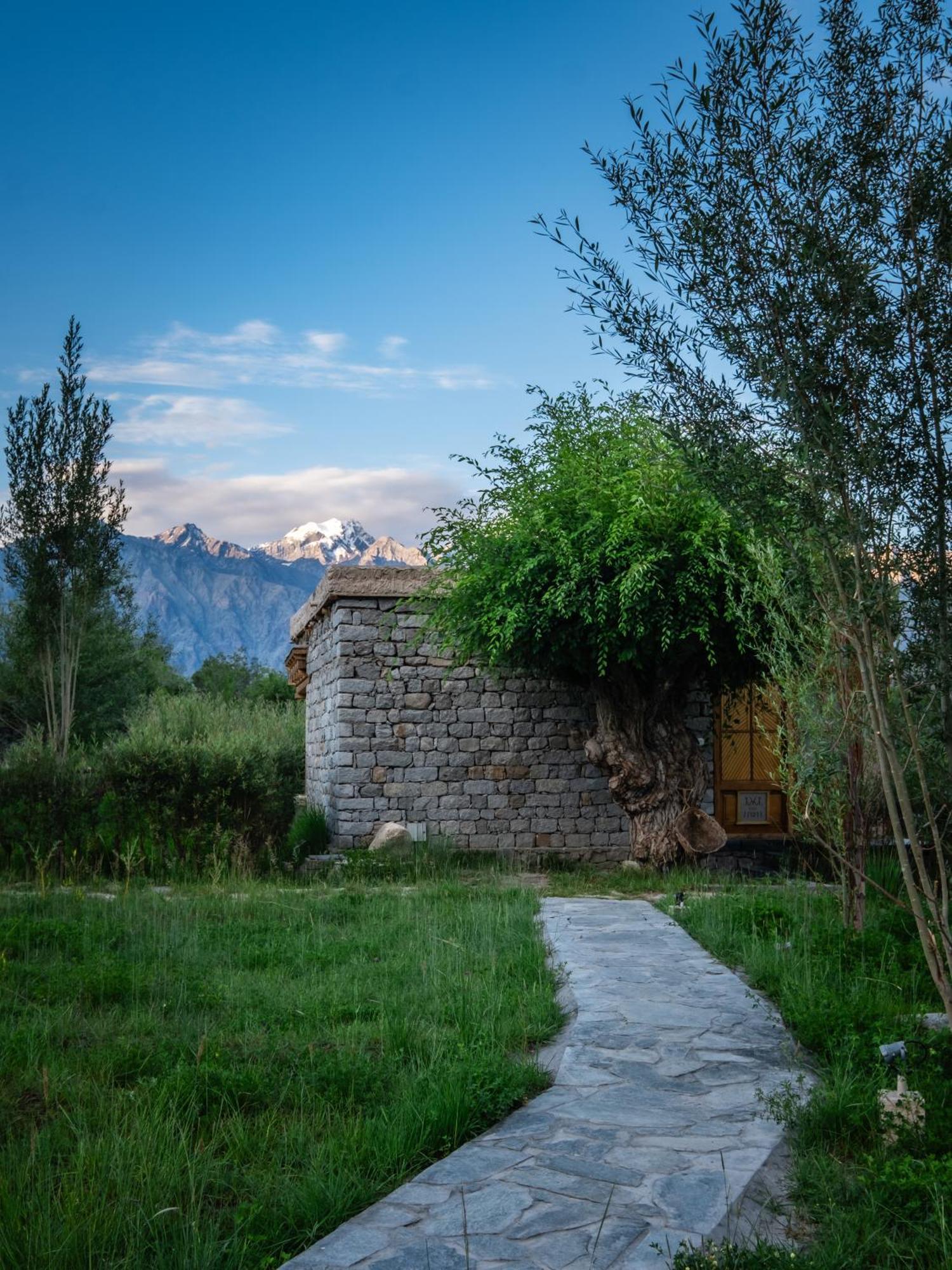 Hotel Lchang Nang Retreat-The House Of Trees-Nubra Valley Sumur Exterior foto